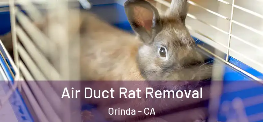  Air Duct Rat Removal Orinda - CA