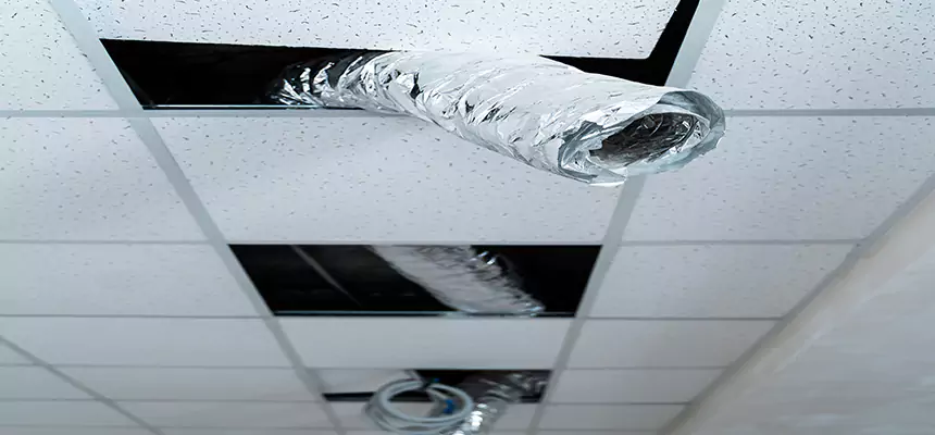 Our Air Duct Pet Hair Removal Services in Orinda, CA