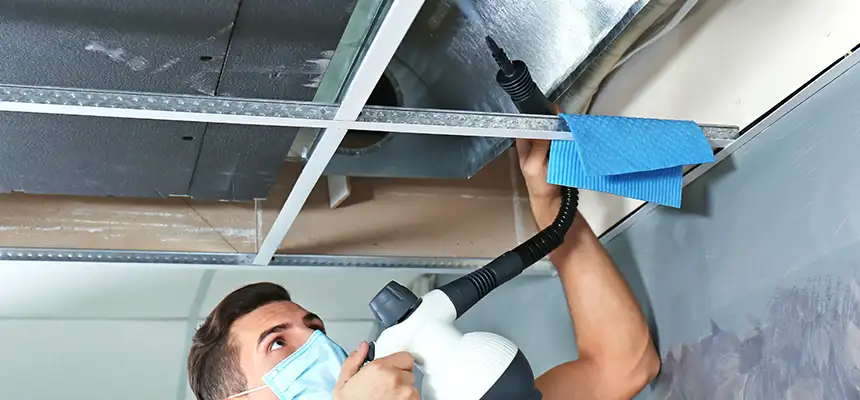 Our Air Duct Rodent Removal Services in Orinda, CA