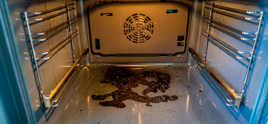 Our Dryer Vent Mold Cleaning Services in Orinda, CA