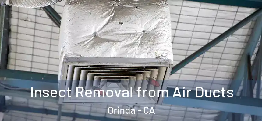  Insect Removal from Air Ducts Orinda - CA