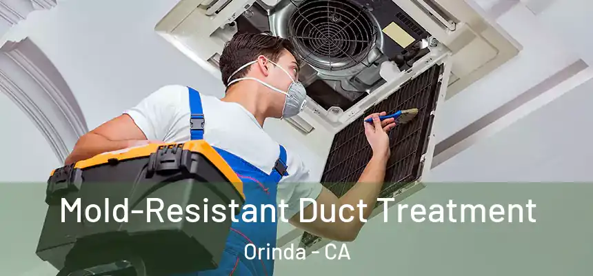  Mold-Resistant Duct Treatment Orinda - CA