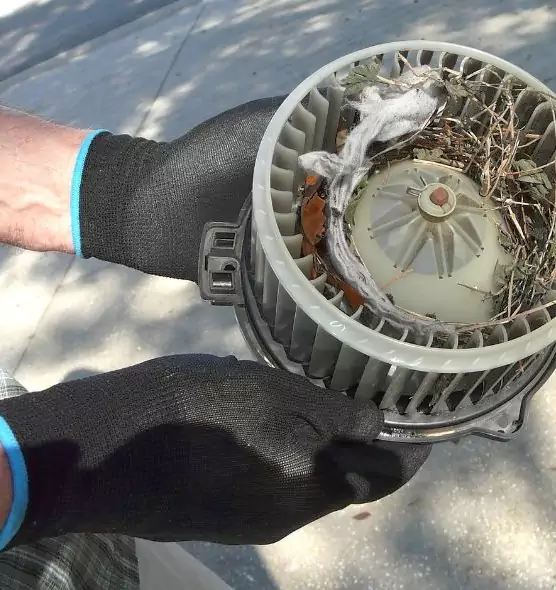 About Air Duct Mice Removal in Orinda, CA