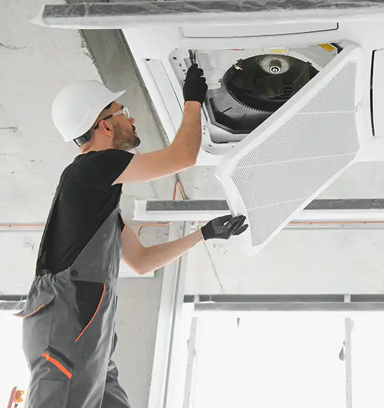 About Air Duct Rodent Removal in Orinda, CA