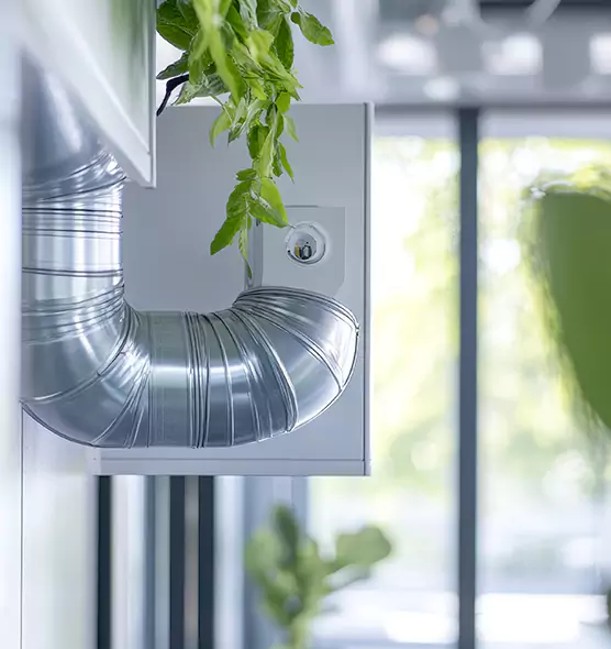 Professional Eco-Safe Dryer Vent Cleaning in Orinda, CA