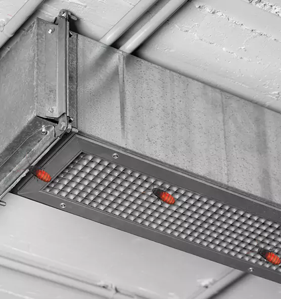 Affordable Insect Removal from Air Ducts in Orinda, CA