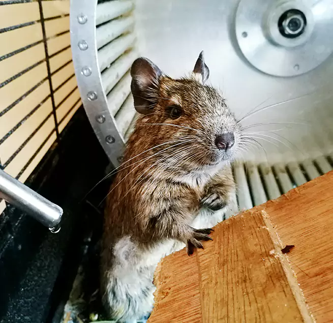 Why Homeowners & Businesses Trust Us Orinda, CA